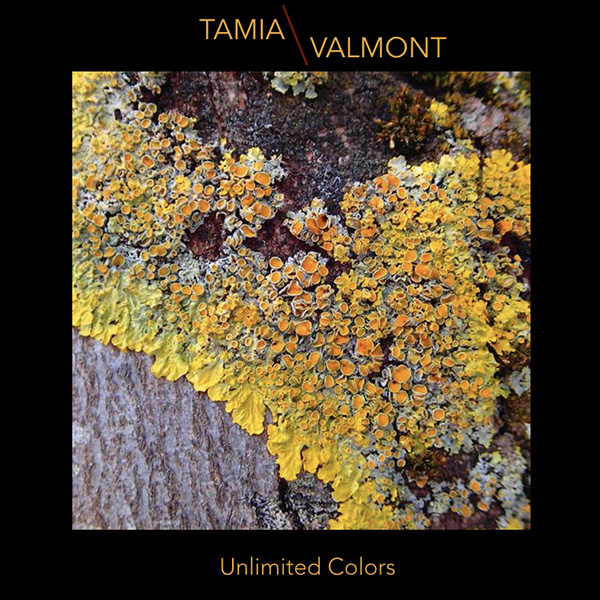 Les chants de la terre / Tamia Valmont